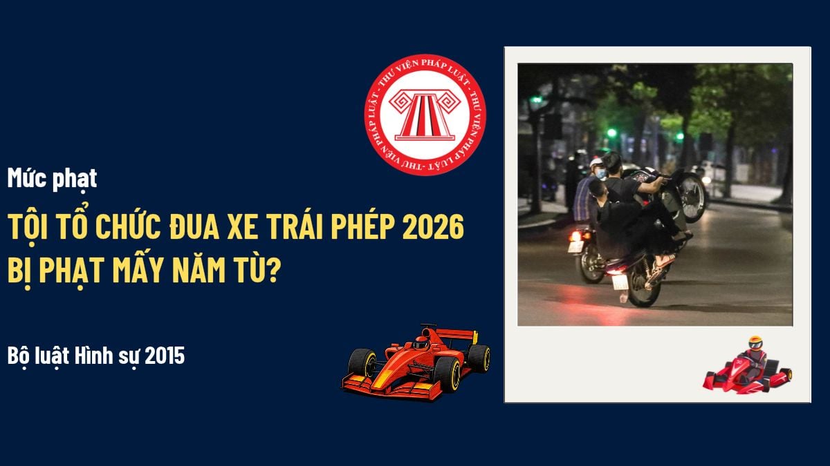 Pháp luật