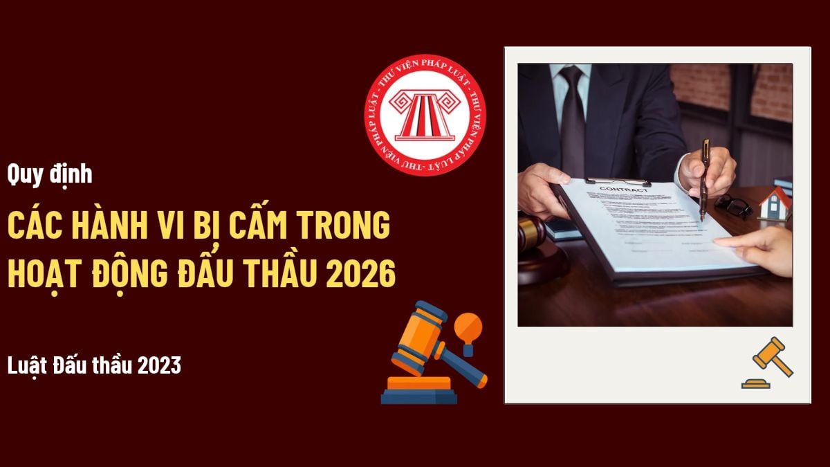 Pháp luật