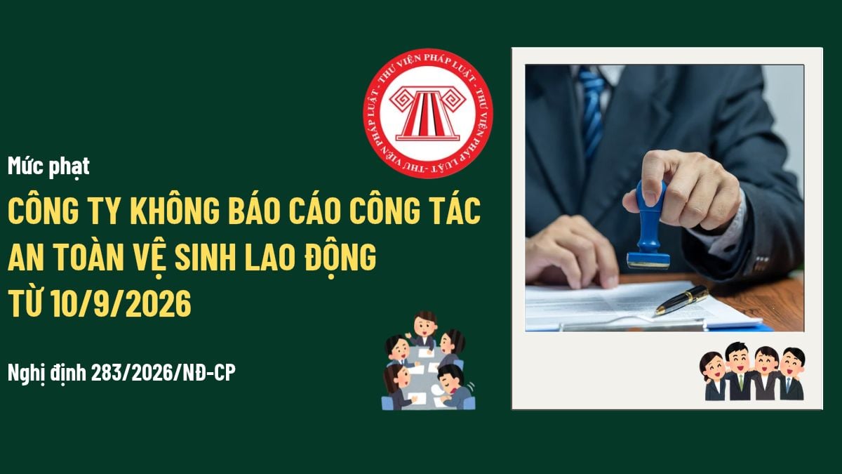 Pháp luật
