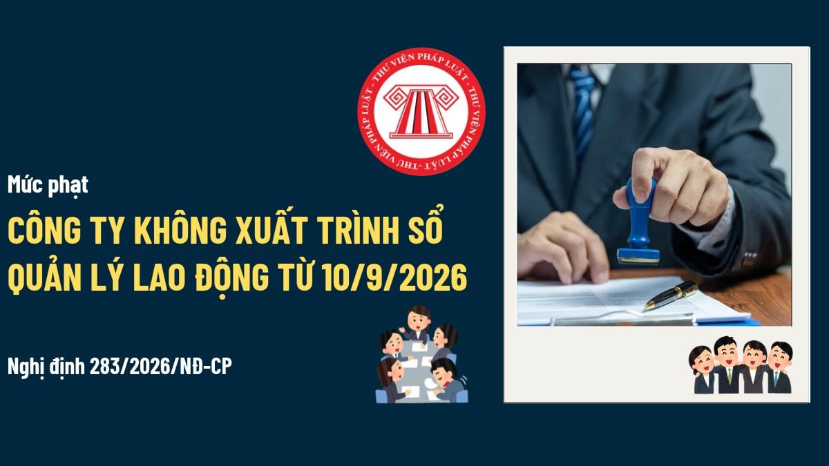 Pháp luật