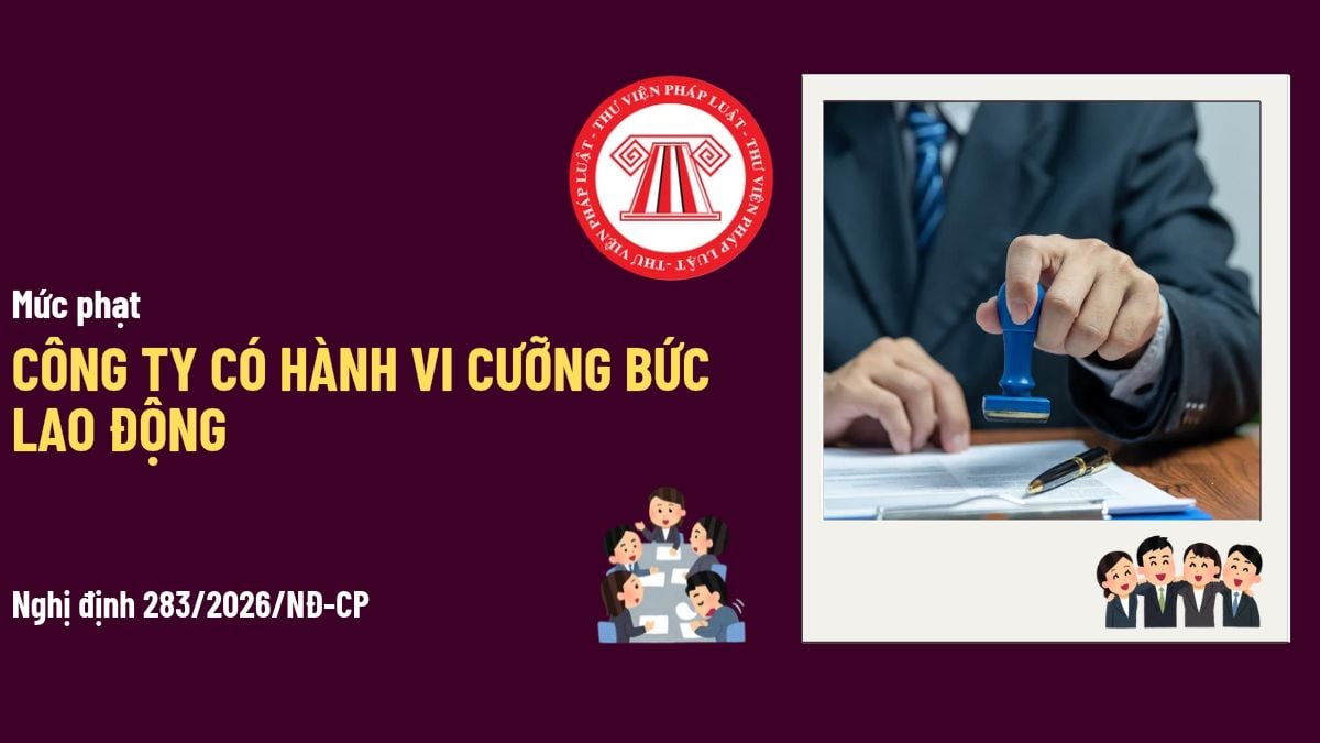 Pháp luật