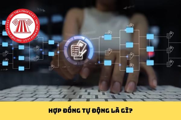 Pháp luật