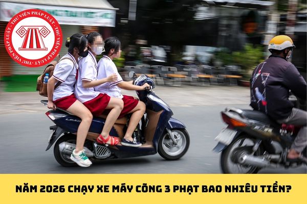 Pháp luật