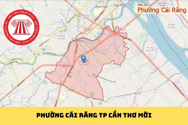 Pháp luật