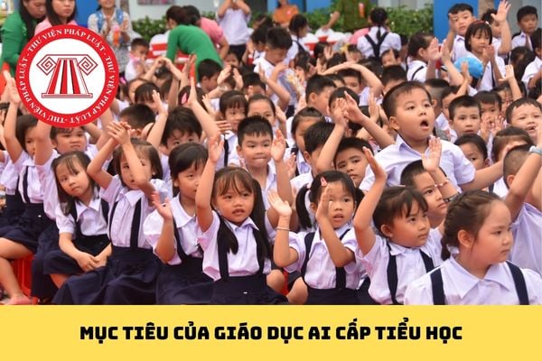 Pháp luật