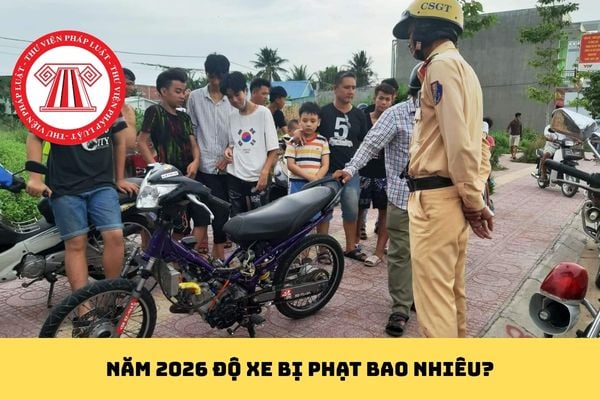 Pháp luật