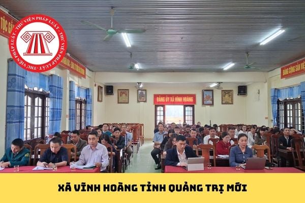 Pháp luật
