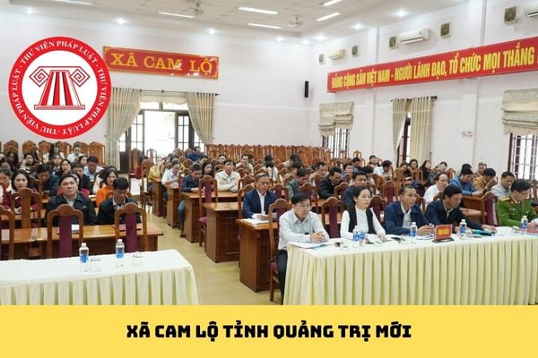 Pháp luật