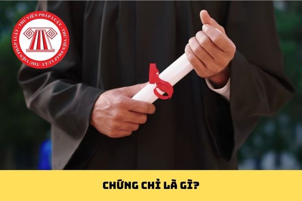 Pháp luật