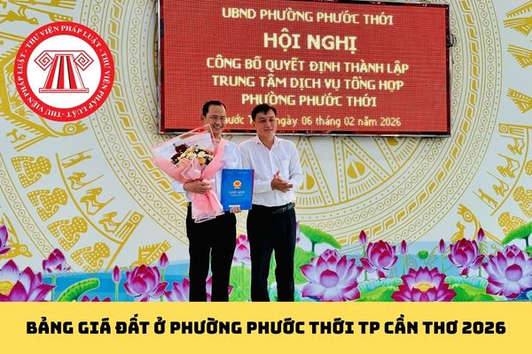 Pháp luật