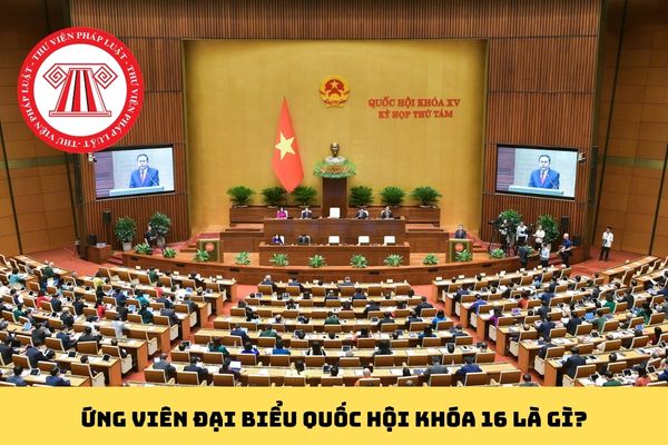 Pháp luật