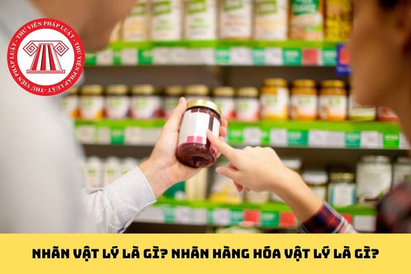 Pháp luật