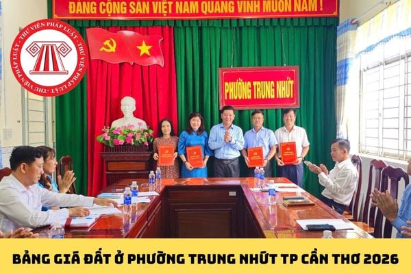 Pháp luật