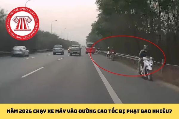 Pháp luật