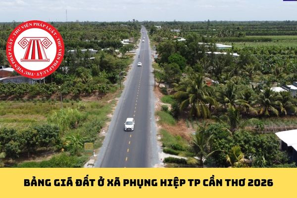 Pháp luật