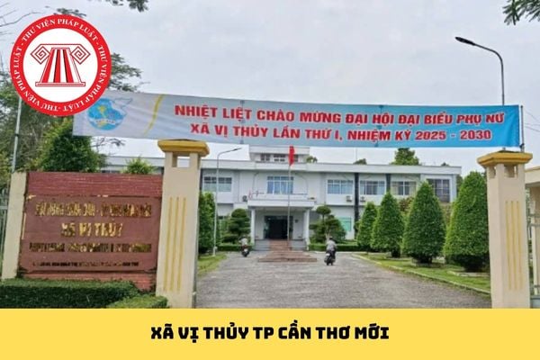 Pháp luật