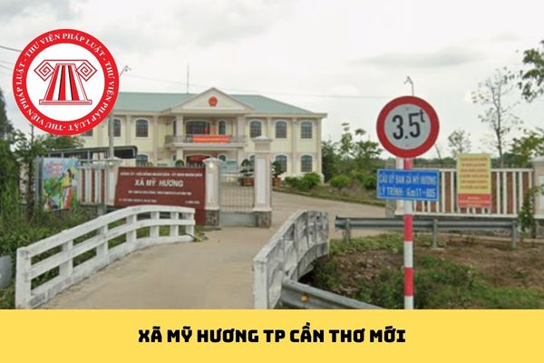Pháp luật