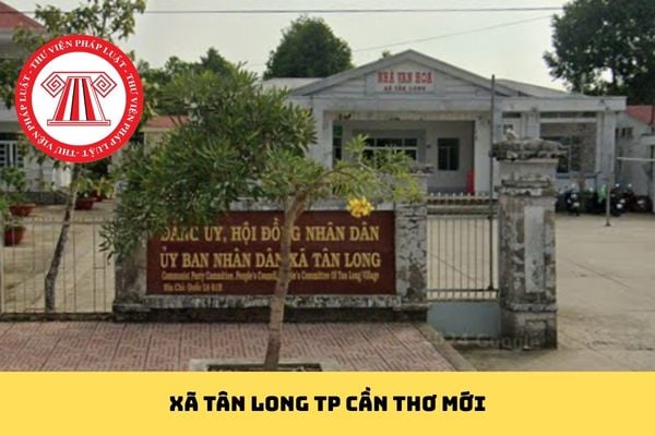 Pháp luật