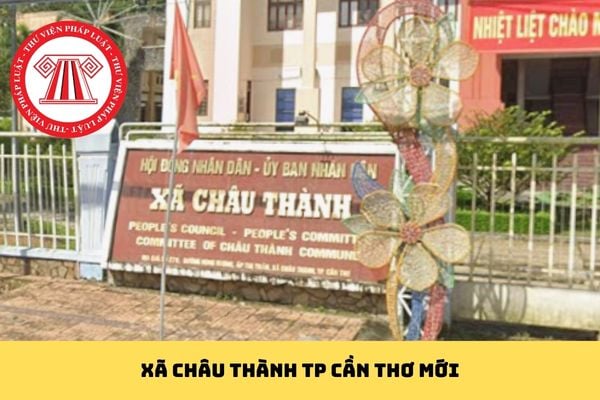 Pháp luật