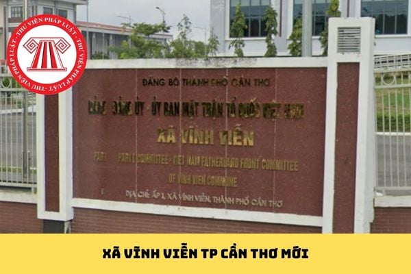 Pháp luật