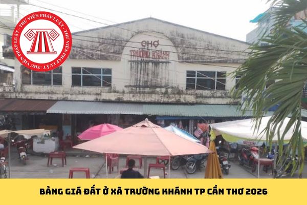 Pháp luật