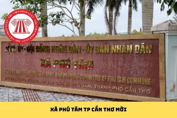 Pháp luật