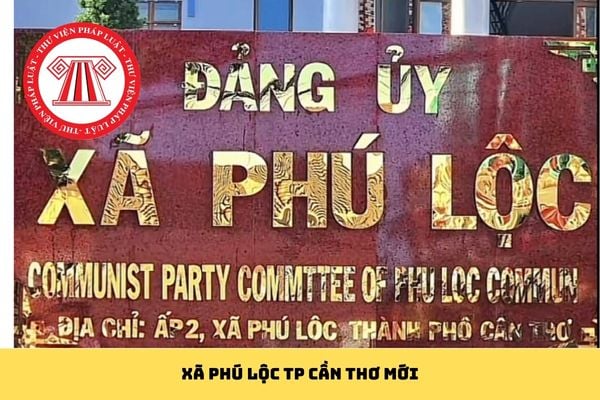 Pháp luật