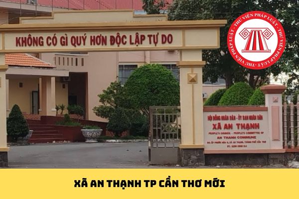 Pháp luật