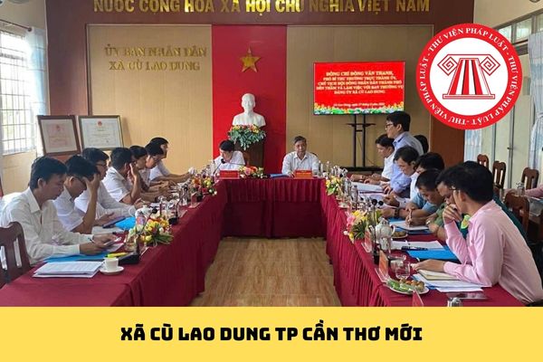 Pháp luật