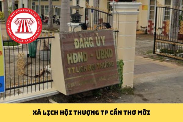 Pháp luật