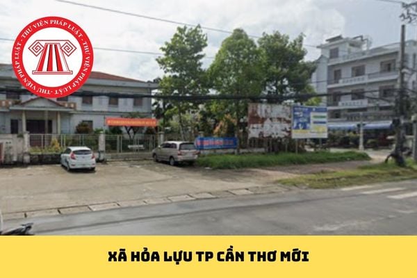 Pháp luật