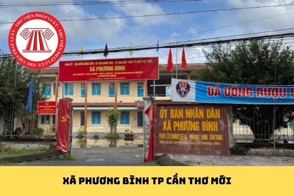 Pháp luật