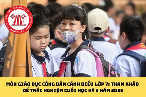 Pháp luật