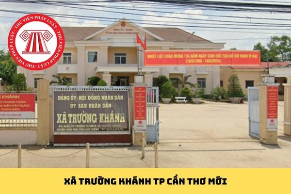 Pháp luật