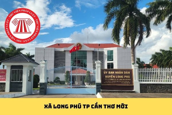 Pháp luật