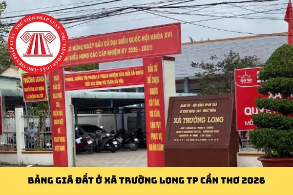 Pháp luật