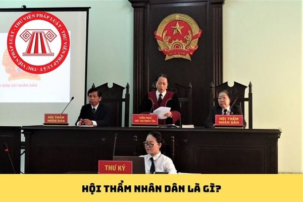 Pháp luật