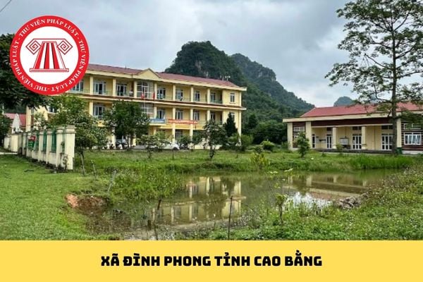 Pháp luật