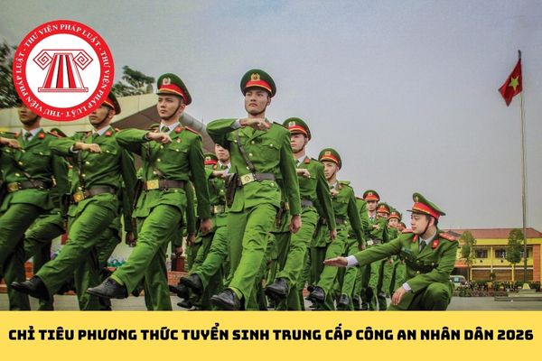 Pháp luật
