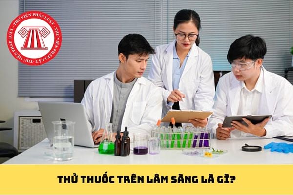 Pháp luật