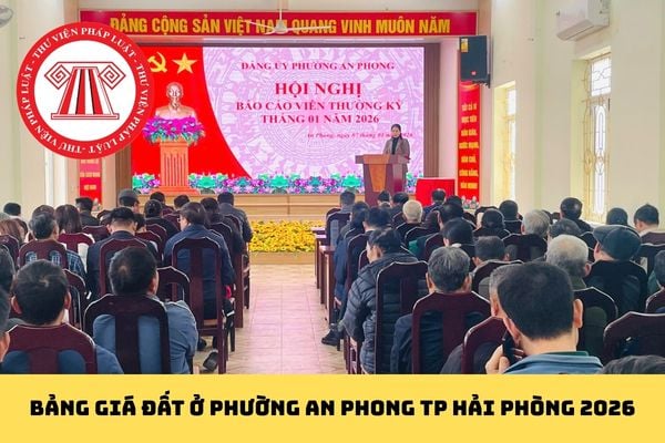 Pháp luật