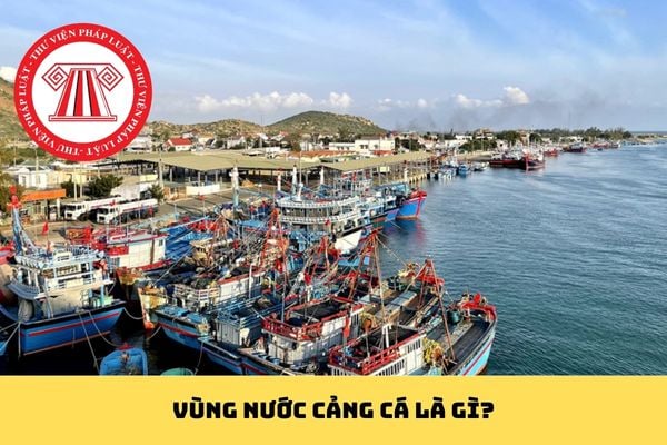 Pháp luật