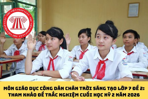 Pháp luật