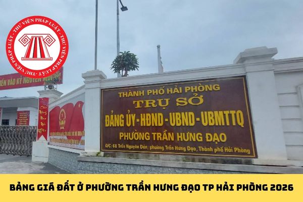 Pháp luật