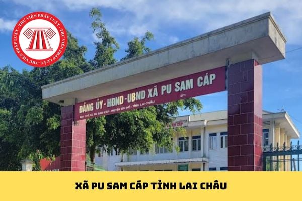 Pháp luật
