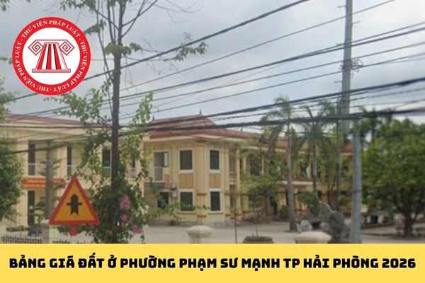 Pháp luật