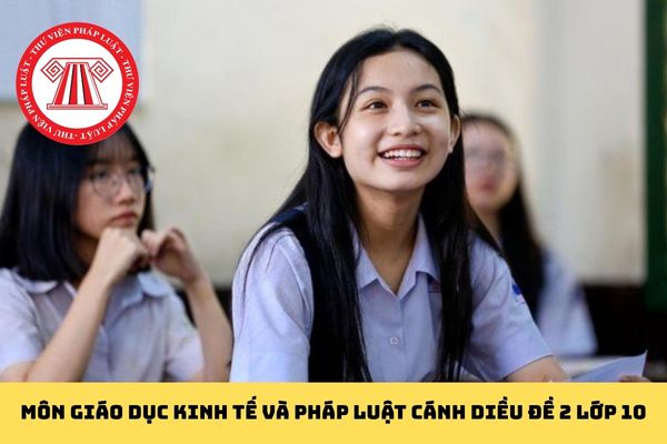 Pháp luật