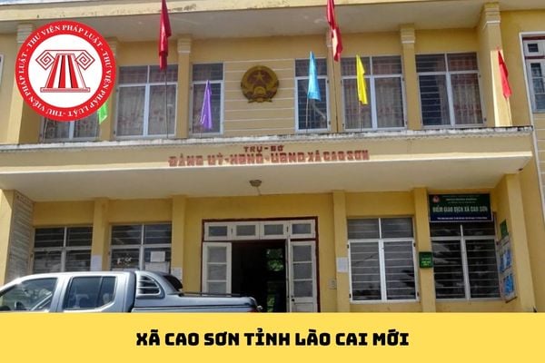 Pháp luật
