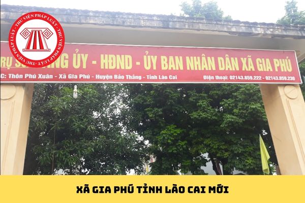 Pháp luật
