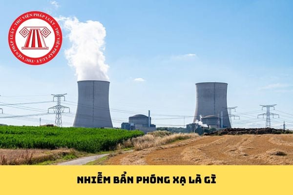 Pháp luật
